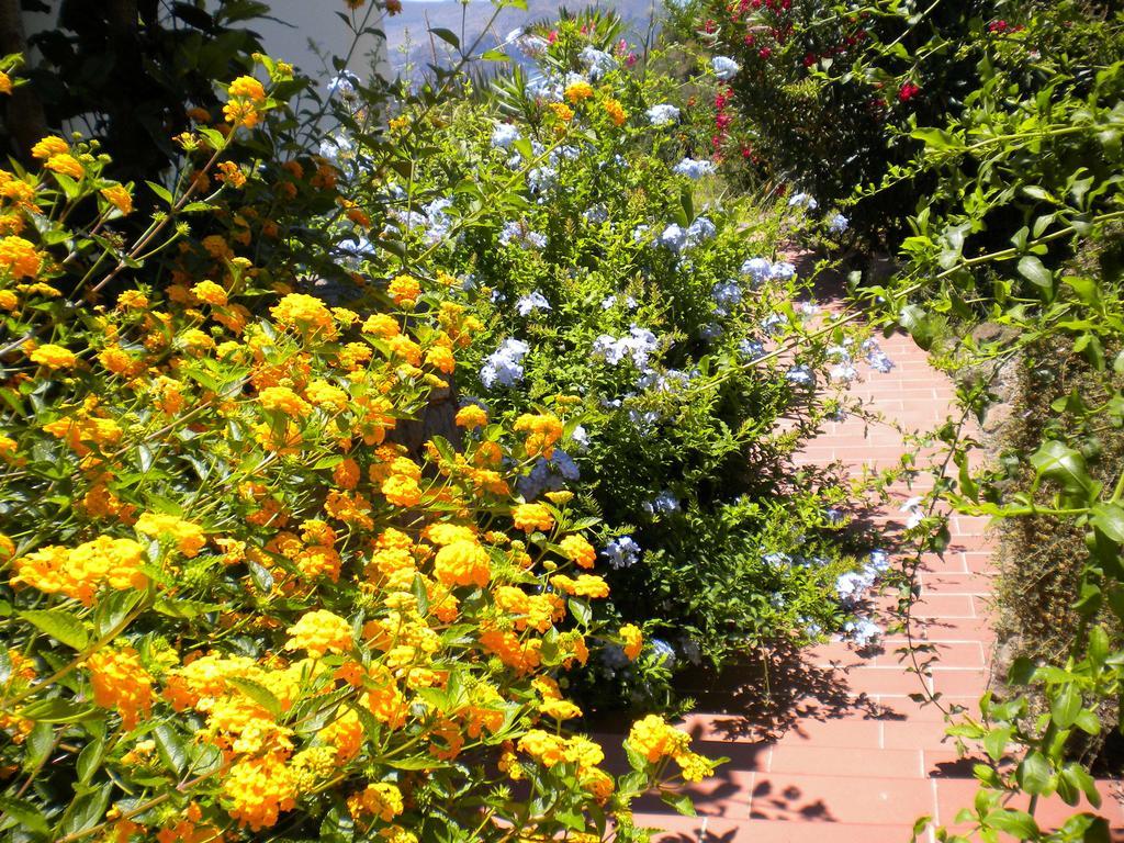 Casa U' Cucunciu Leilighet Lipari  Rom bilde