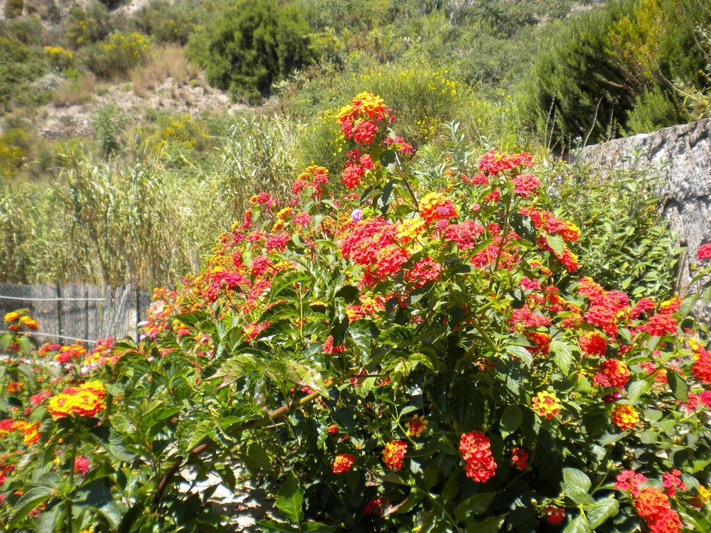 Casa U' Cucunciu Leilighet Lipari  Rom bilde